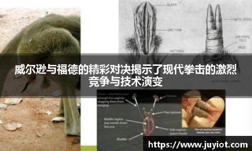bsports官网入口
